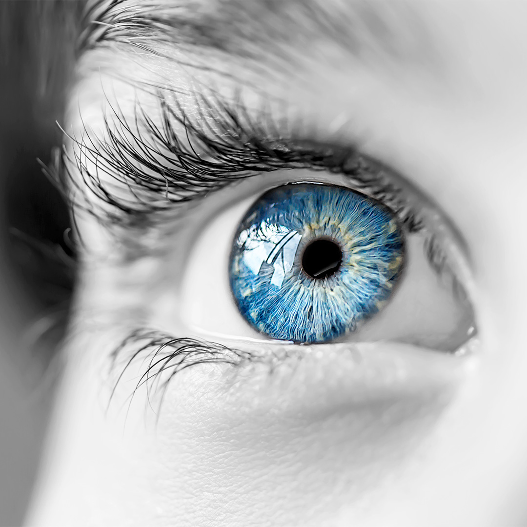 Close-up of a blue eye with detailed iris and eyelashes